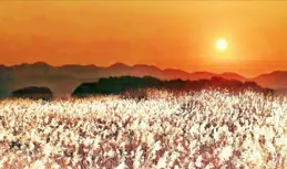 「十月朔寒衣節，五人不上墳」，今年寒衣不一般，哪5人不去上墳