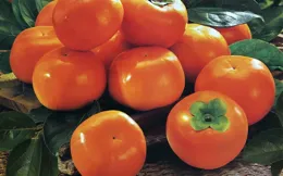 明日重陽節，提醒「5樣不上桌，福氣不進門」，哪5樣？老傳統別丟