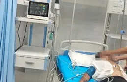 毒性極強！雲南一男子3次吃它，3次中毒進搶救室……