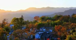 美哭了，國家地理沒有騙我，有一種人間秋色叫塔川！