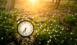 詩歌/耿誠文：細數人生流年