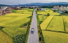 經歷3件事後，我徹底放棄了對村裏人的同情心，再也不想可憐他們