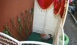 平安守護，明警一直在您身邊