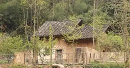 農村老話：墳前三留有後患，床前掛四災禍來，分別指的都是什麽？