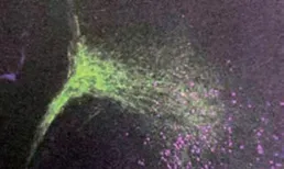 量子力學為什麽讓人害怕？科學家們在研究過程中究竟發現了什麽？