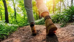 「周末戰士」鍛煉降低了 200 種疾病的風險