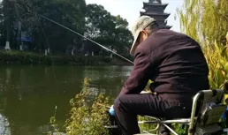 野釣需不需要打窩？深度解析打窩重要性及技巧，助你連桿爆護！