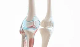 膝關節半月板損傷會有哪些表現