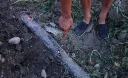 百萬人圍觀：男子撈到「奇葩鯉魚」 大肚凹陷像碗!當事人：放生了