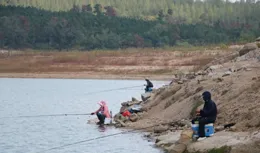 遼寧釣友水庫釣到巨青，有人當場出7000，釣魚也能發家致富嗎？