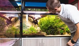 氣溫下降，魚兒怎麽養？秋季養魚指南，為愛魚打造溫暖家園！