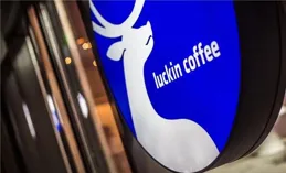 2036奧運申辦倒計時！城市群雄逐鹿，誰將笑到最後？