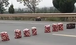 果農變土匪！果農用蘋果阻斷交通，強買強賣？官方通報：屬實