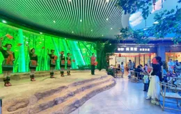 福建：服務區裏新事多