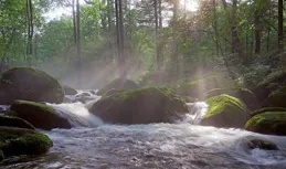 昨日已逝，向陽而生；釋懷過往，擁抱未來