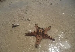 你讀過最美的一句禪詩是？