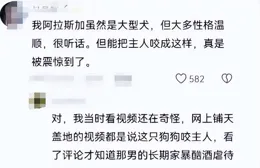 後續！大型犬撕咬主人新訊息爆出，網友態度大反轉：活該，咬的好