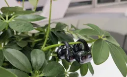 開放式藍芽耳機（OWS）怎麽樣？好用嗎？