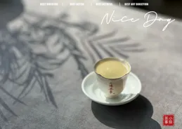 白茶新手必看！白毫銀針VS白牡丹VS壽眉，入門該選誰？