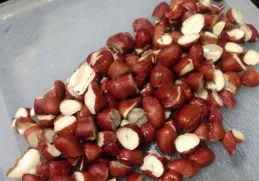 花生板栗靠邊站，秋天該吃它，一次煮好放冰箱，隨吃隨取，特省事