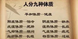 健康養生：開啟活力生活新篇章