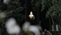 這些事千萬不能做，否則傷你一輩子