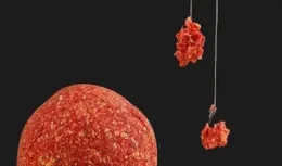 拉餌總是拉不好？開餌時留意這幾個細節，拉出的餌團飽滿又漂亮