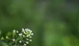 人到中年，要懂得洞悉人性