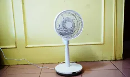 2024年雙十一有哪些值得特別推薦購買的小家電？