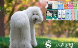 帶你一分鐘了解巨貴犬~