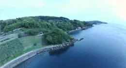 朋友就是不可避免的利益關系