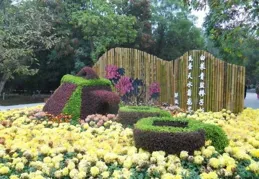 動圖！世界風箏公園人氣旺，人山人海觀菊展