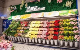 榴槤千層、大生蠔、大閘蟹……盒馬深圳新店爆品被瘋搶