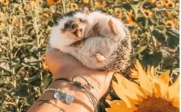 13 張超萌海獺，洗臉樣子超可愛！還有一特點讓人超羨慕