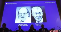 2024年諾貝爾生理學或醫學獎揭曉！微小RNA蘊藏基因調控之謎