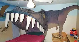 開心一刻，50張搞笑動圖：我爸搞得金魚皮蛋，必須吃兩碗飯！