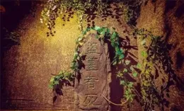 賞石收藏，如何少走彎路？「冷靜十問」助你精準抉擇！