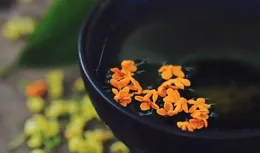 一個人，吃哪碗飯，福禍幾何，有什麽緣分，冥冥中早有安排