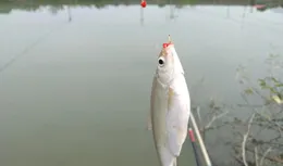 釣魚遇到的8個怪事，每一個都令人難以相信