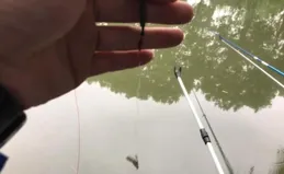 釣位只相差一米，為啥你釣不到魚？