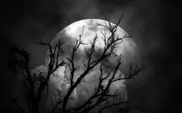 此星座和天蠍座那GS的溫柔：山月不知心裏事，水風空落眼前花