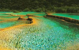 你目前去過最喜歡的旅遊地是哪裏？