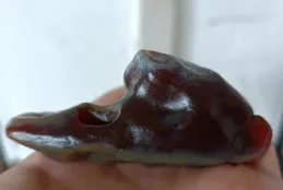 好石頭不是太少，而是能夠發現好石頭的人太少