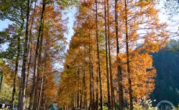 酉陽：充分利用水資源，山巔水庫景美如畫