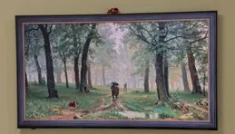 在追求家居美學的過程中，如何選擇一款電視機，使其既具備出色的音畫質又能與家居裝飾相得益彰？