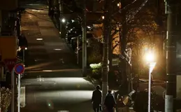 2024都市電影，只需抱團，無需言情