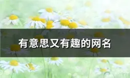 用了不想換的網名，獨特微信名字，路路生財頭像