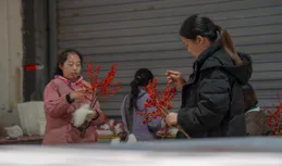 「花都」昆明年宵花產銷一線掃描