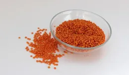 成核劑市場調研報告-發展趨勢、機遇及競爭分析