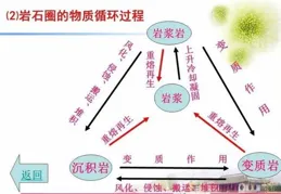 地質歷史上全球磷迴圈的驅動因素|趙明宇等-NREE